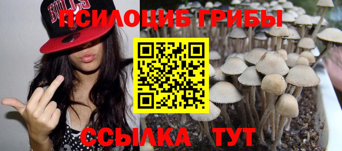 Псилоцибиновые грибы Cubensis  купить  сайты  Сатка  Вход с VPN 